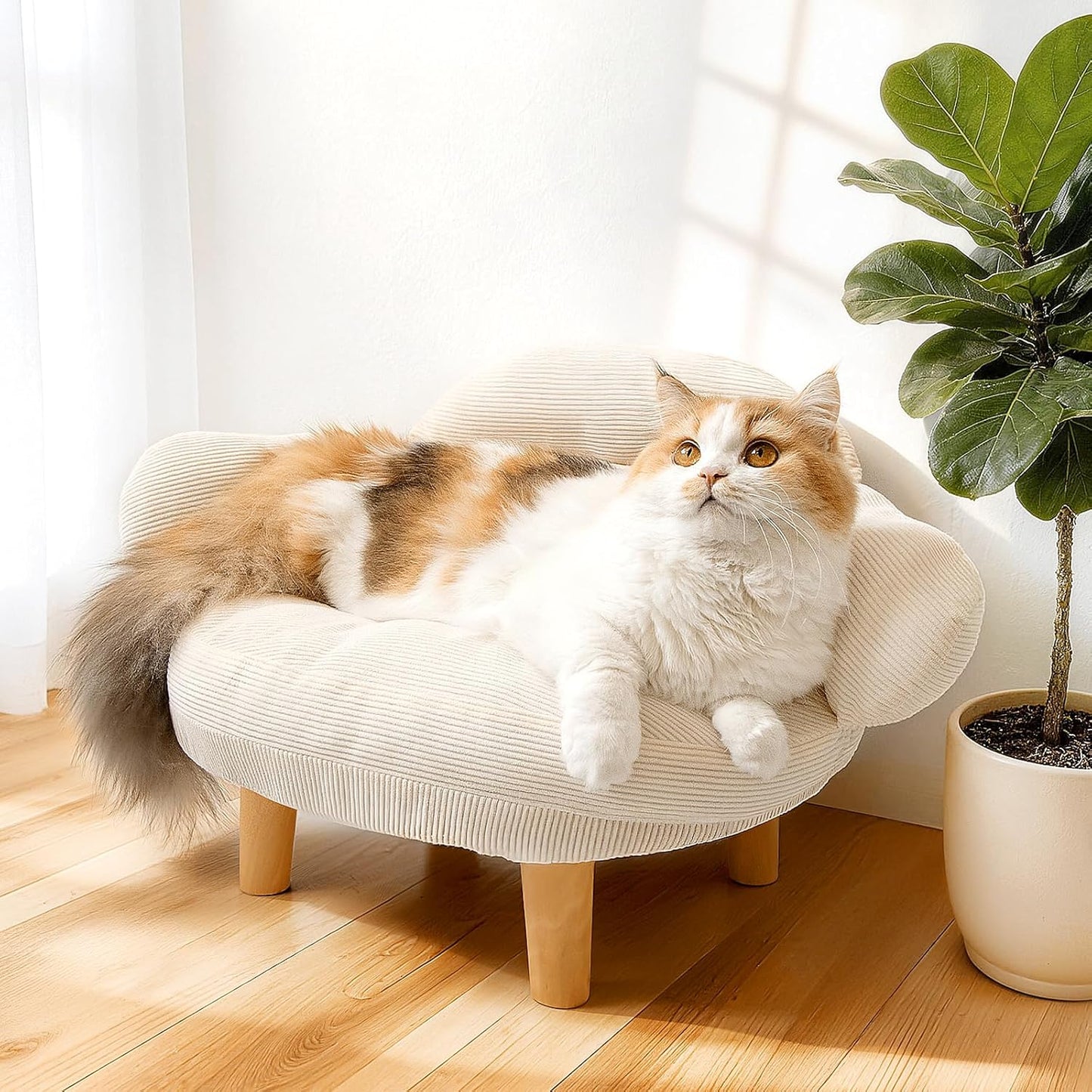 Cat Sofa Bed Furniture Style Velvet Pet Couch with Wood Legs Small Dogs